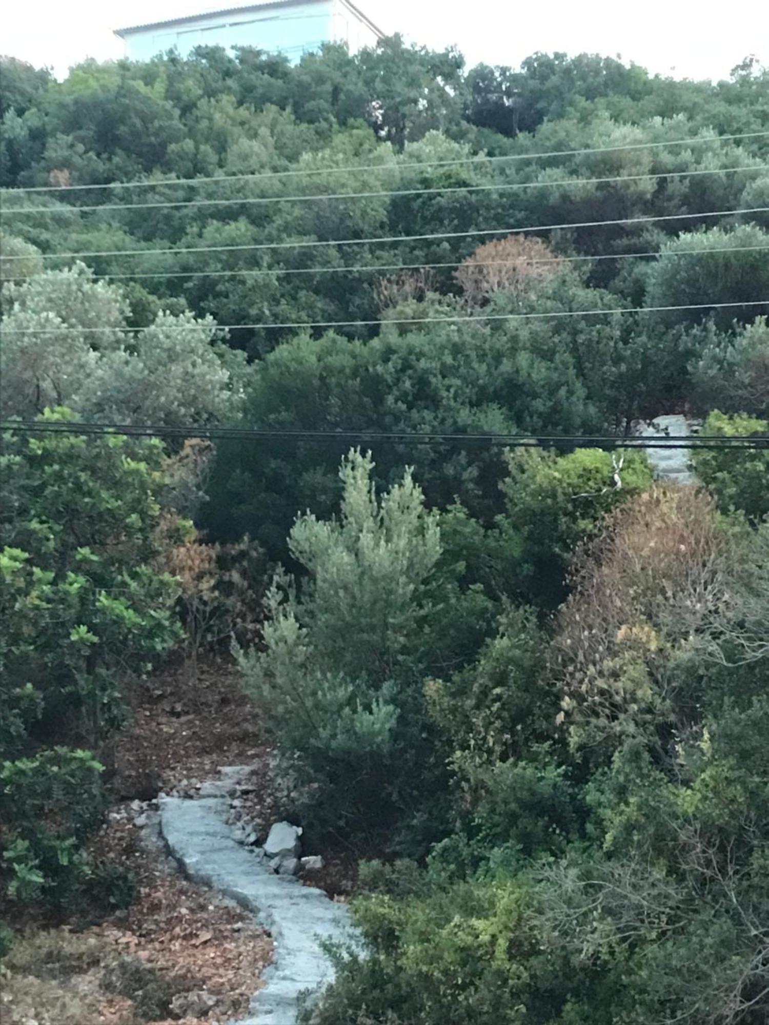 דירות Green Hill קס מראה חיצוני תמונה