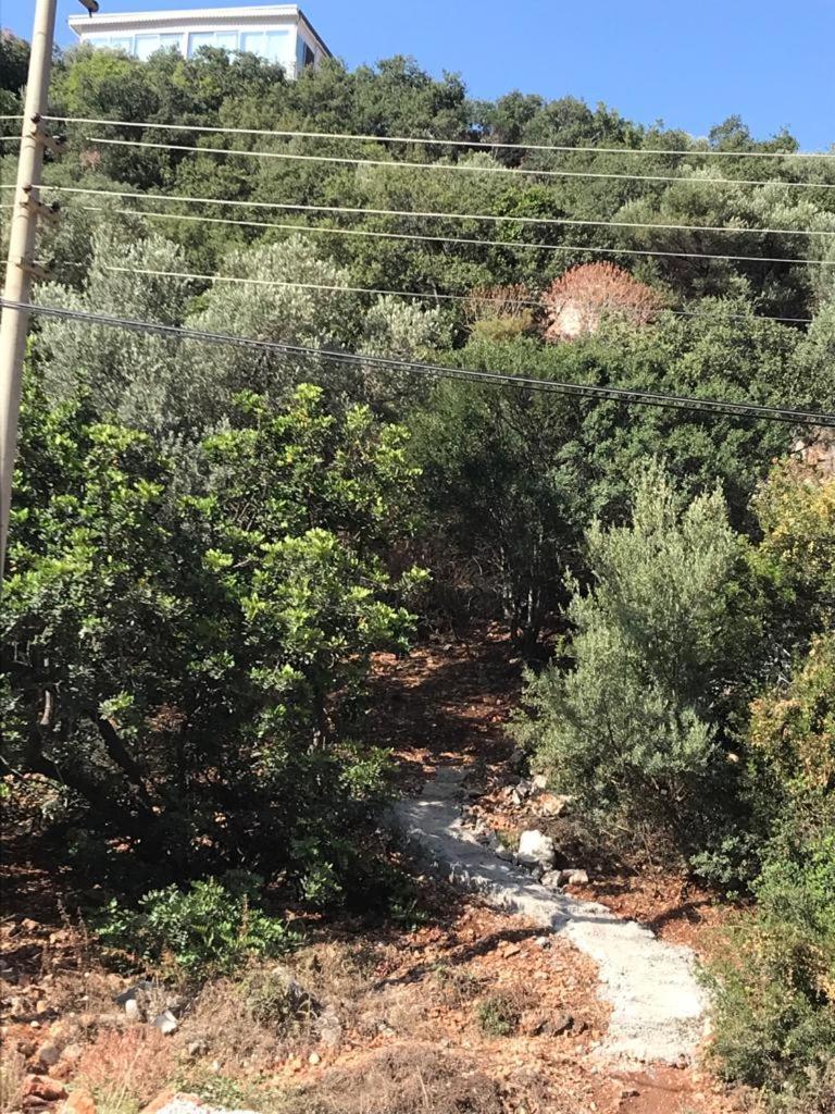 דירות Green Hill קס מראה חיצוני תמונה